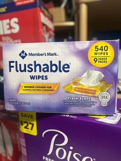 Member's Mark Flushable Wipes 540 Count
