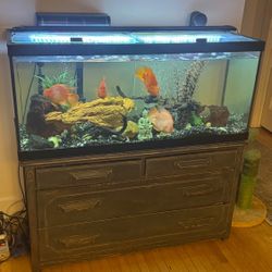 78 Gallon Fish tank  / $ Or Trade