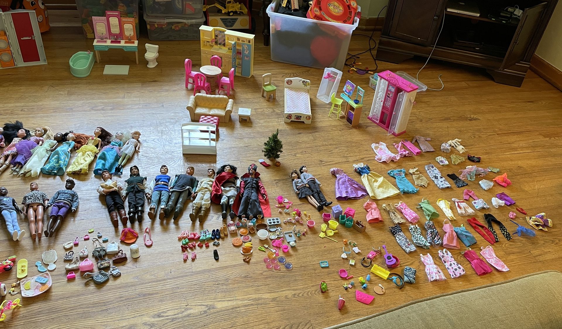 Barbie/ Disney Princess Lot