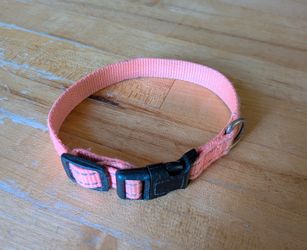 Small Pet Collar - Color: Neon Pink