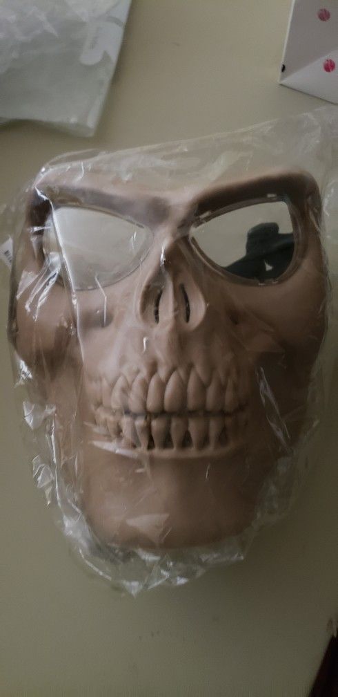 Skull Face Mask 