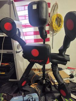 Bas Rutten body action System