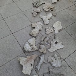 Corales para Pecera/ Rocks For Fish Tank 