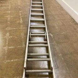 Ladders Lots Of Ladders