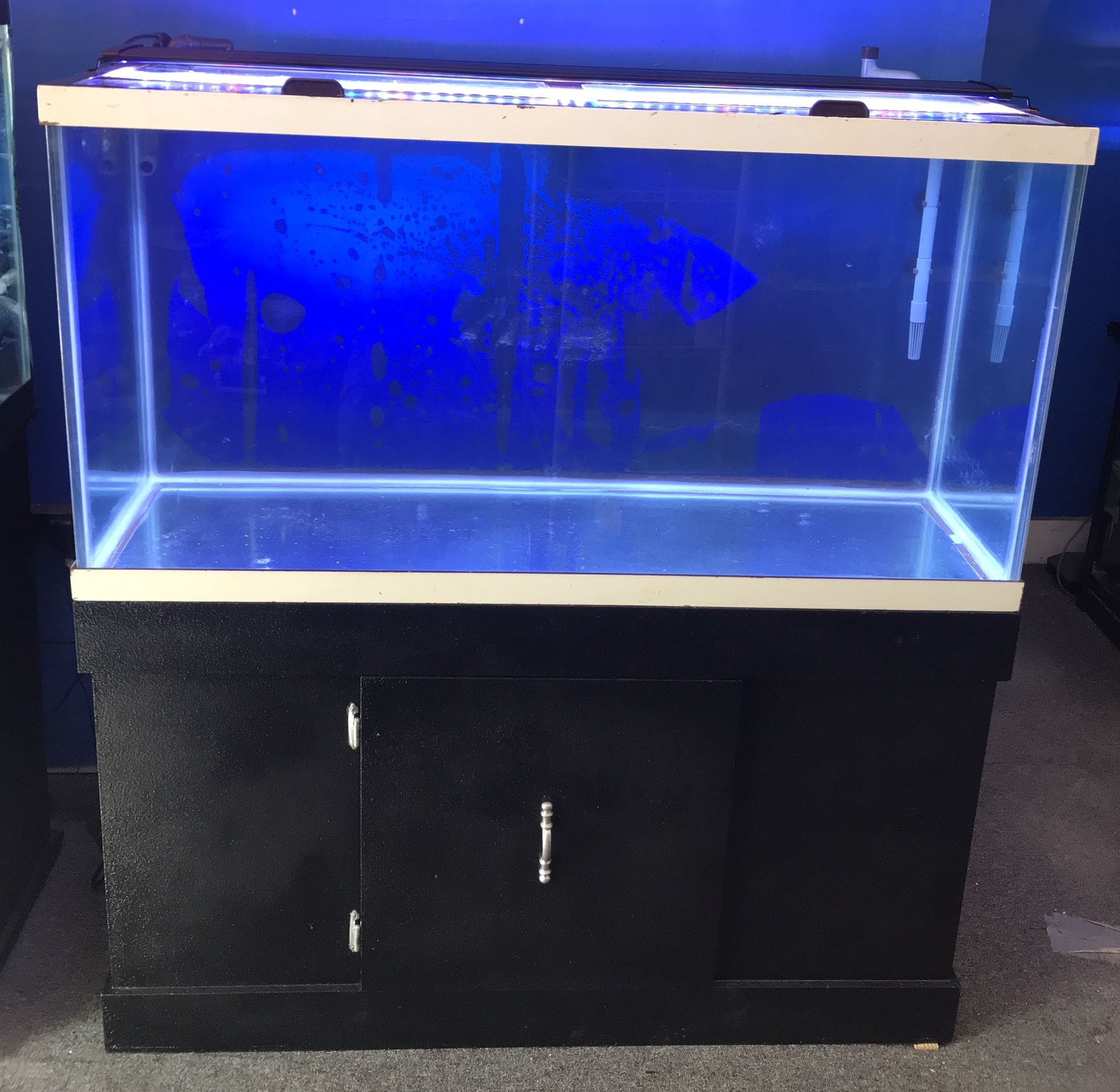 90 gallon aquarium fish tank complete $500