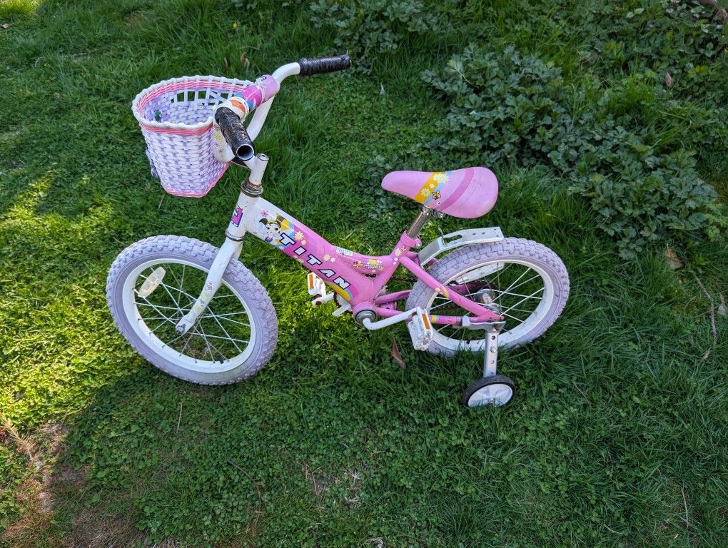 Small Pink Girls Bike 16" Tires Titan Flower Princess 