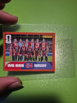 Red border Norway team photo