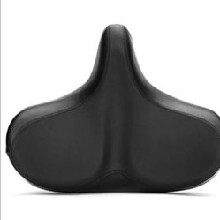 Bicycle Seat.    10 Dollars.
