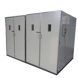 Commercial Egg Incubator 