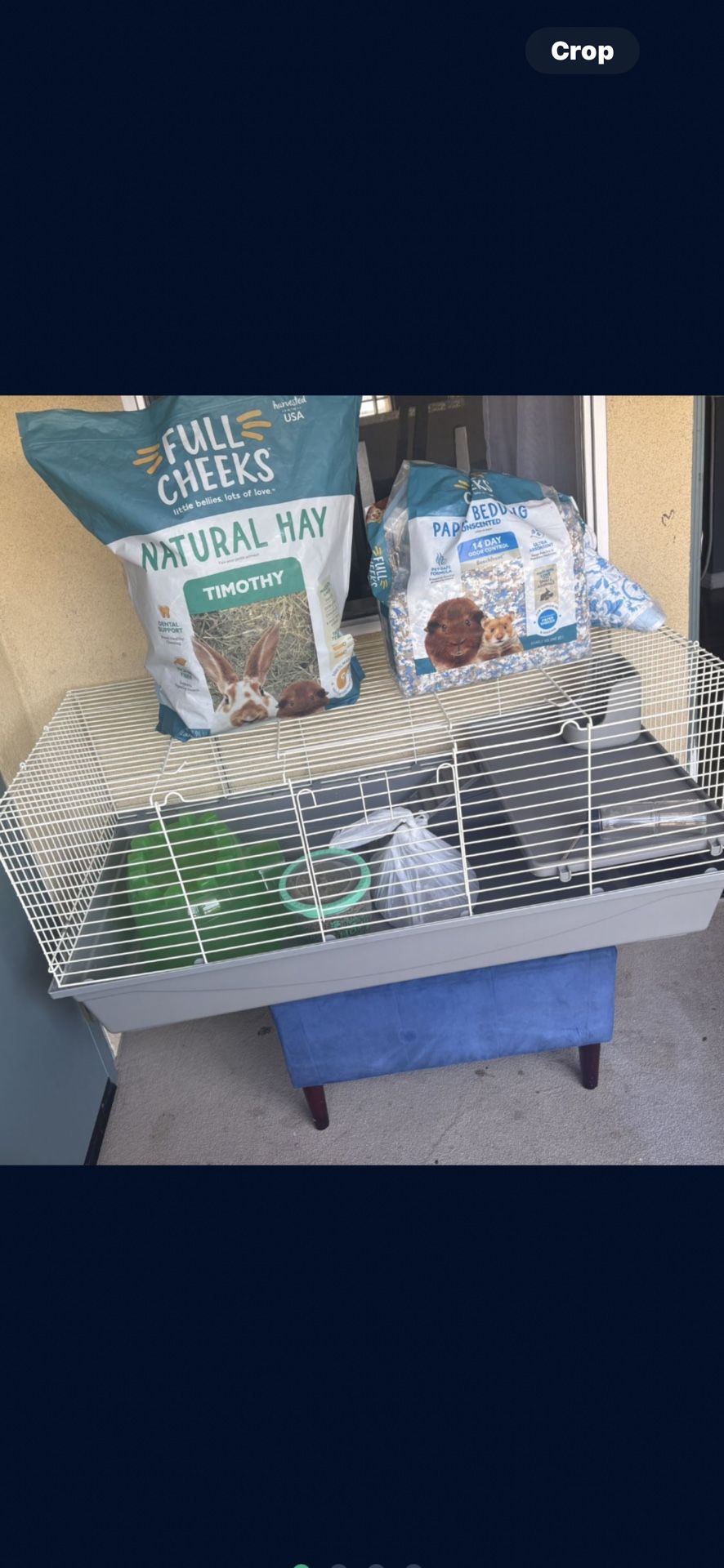 Guinea Pig Cage