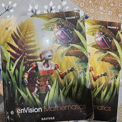 Savvas Envision Mathematics workbooks volume 1 and 2