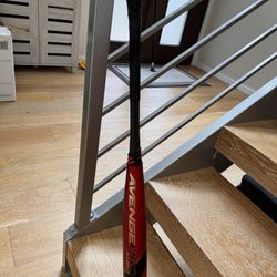 Axe Bat Avenge Pro Hybrid Used