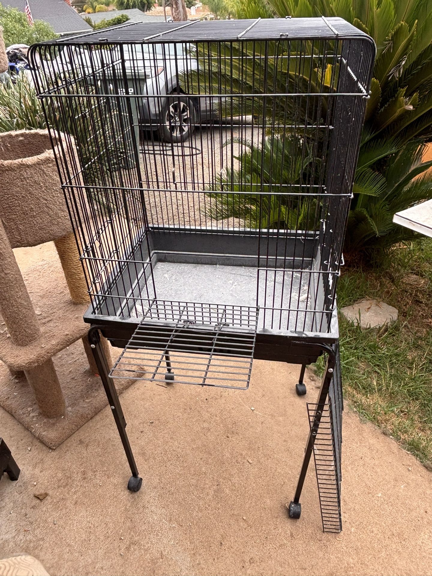 Bird Cage