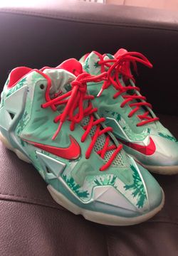 Lebrons size 3.5