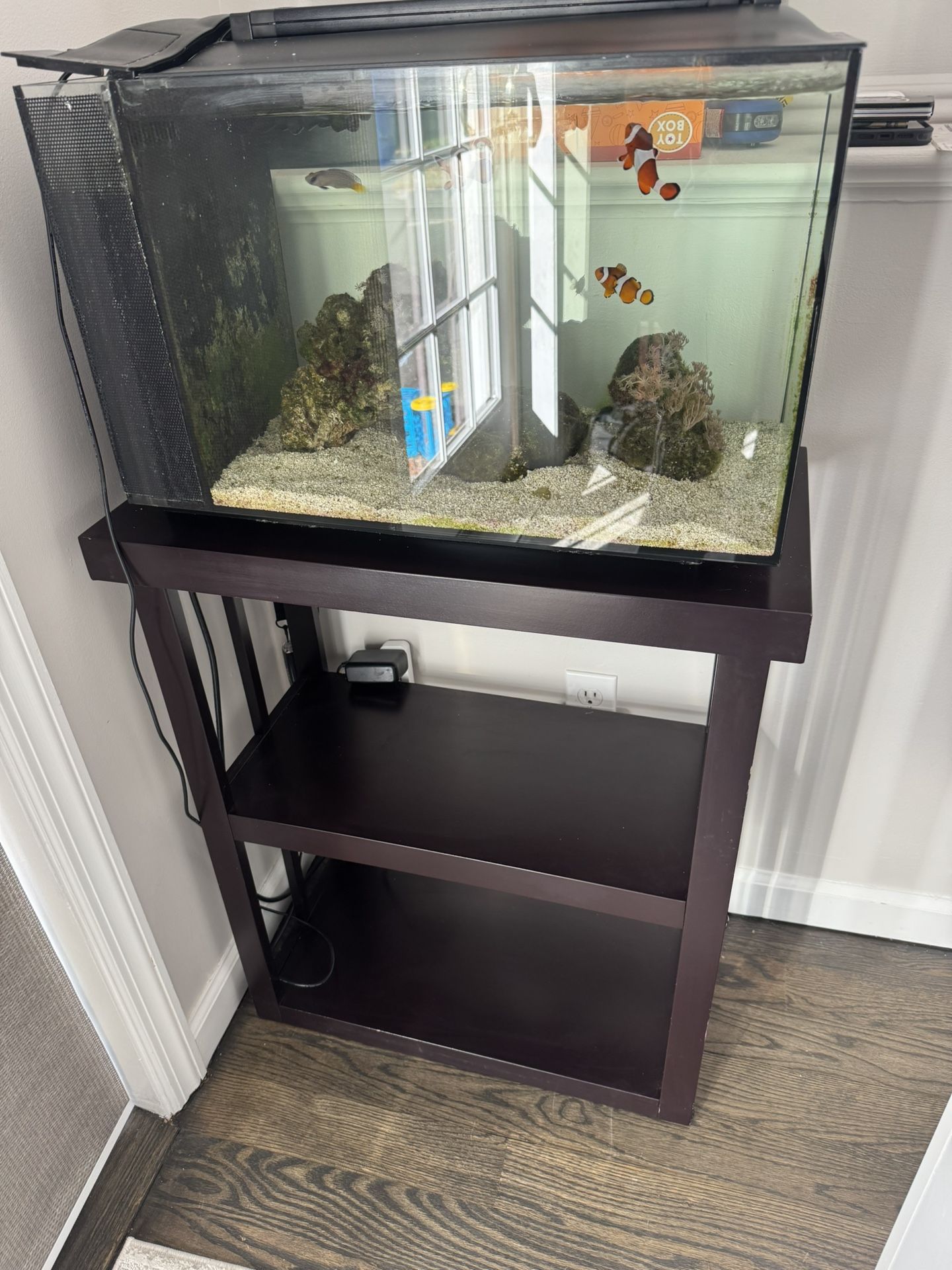 Fluval Evo Saltwater Tank