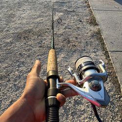 Saragosa 6k & falcon clear water rod