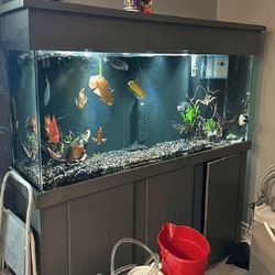 general any Premium Aquarium Setup – Stylish Design and Superior Quality