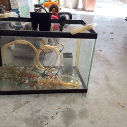 10 Gallon Aquarium 