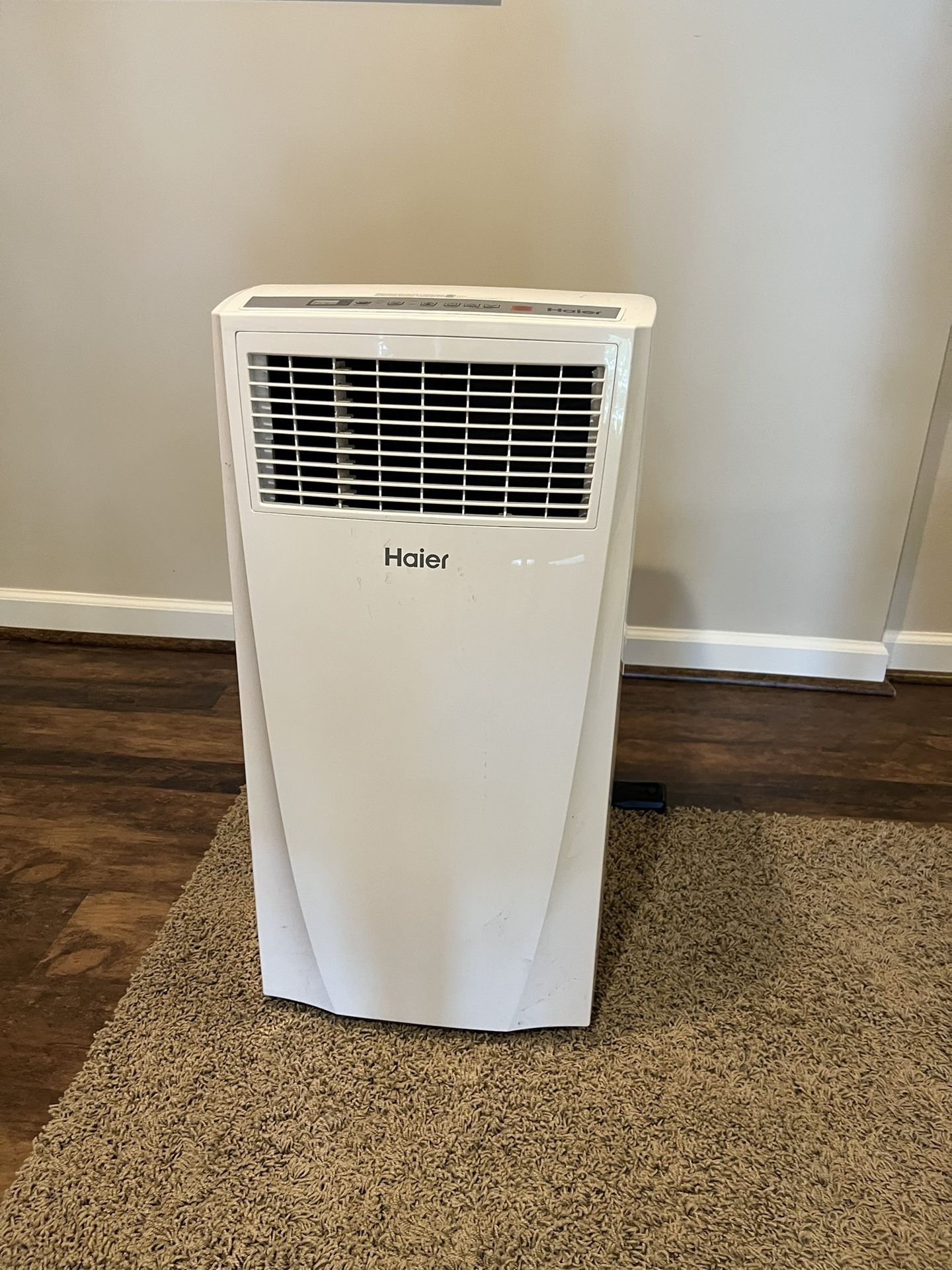 Hair Inside To Window AC Unit