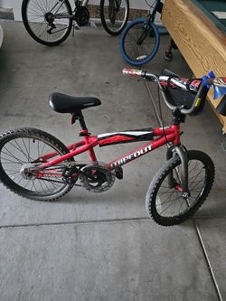 20 Inch Bicycle