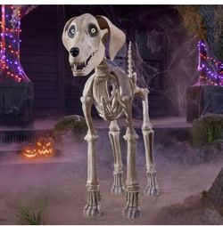 Skelly Dog Home Depot retired prop 2024.