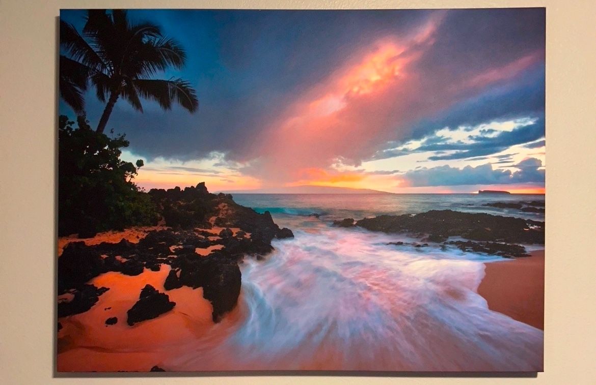 Hawaii Storm near Palm Trees Canvas Picture