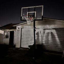 Basketball Court 