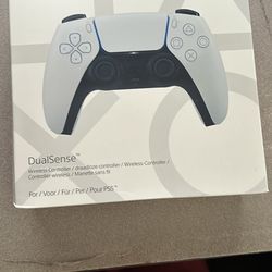 Ps5 Controller 