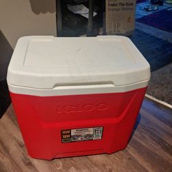 Igloo