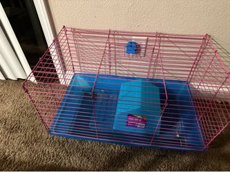 Cage free  free free