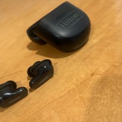 Bose QuietComfort Earbuds II Used 