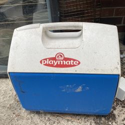 Igloo Playmate Cooler