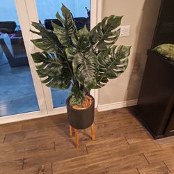Faux Plant