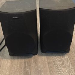 a pair of sony speaker