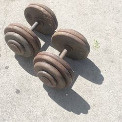 Weights 