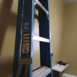 12ft Ladder 