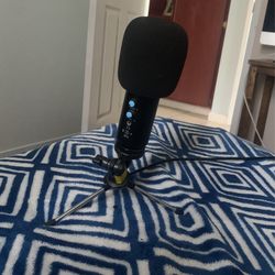 Microphone