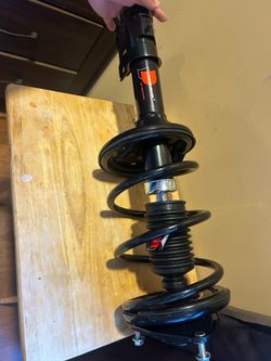 Strut Spring