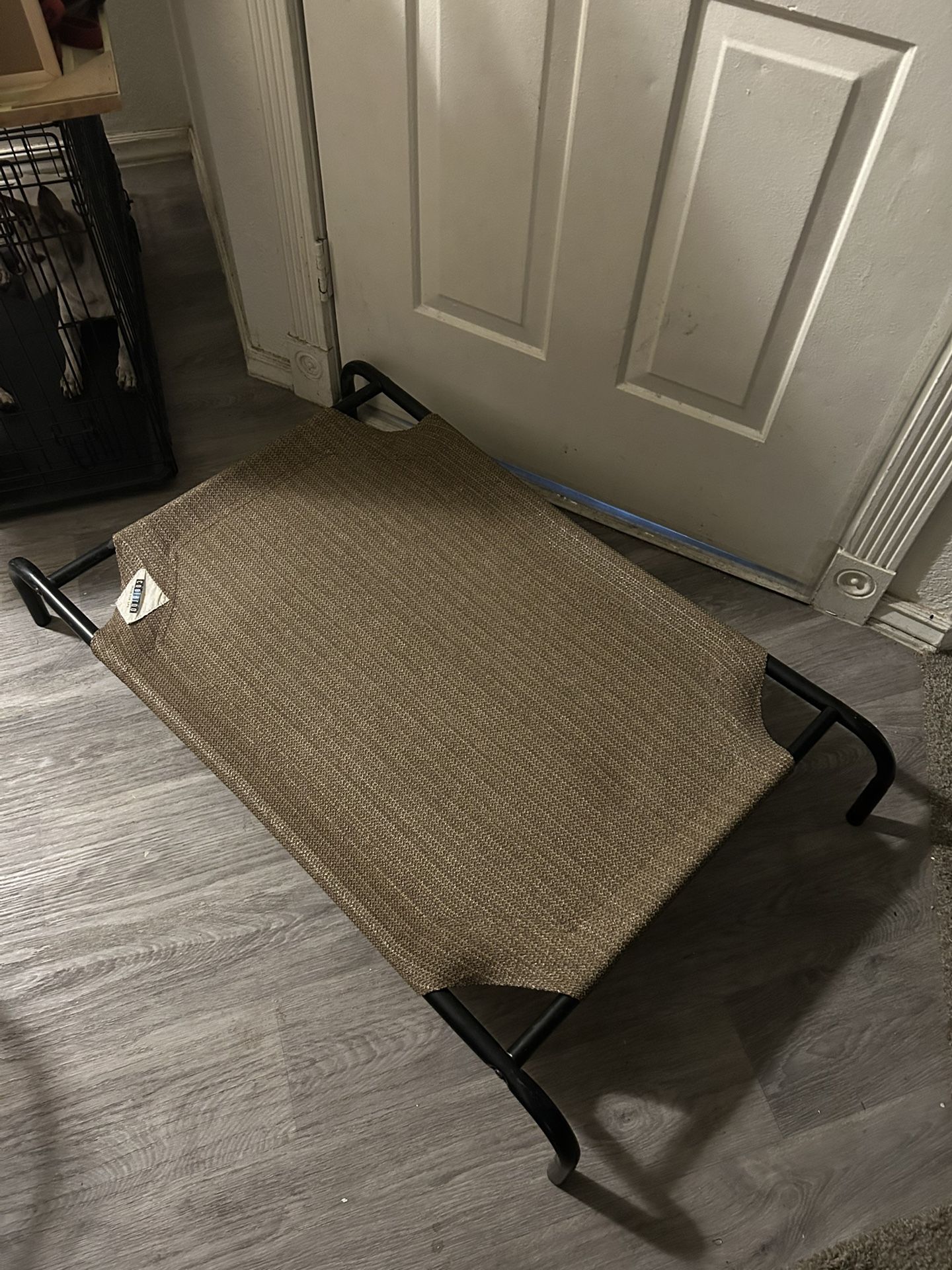 🔥 Moving Sale! Coolaroo Elevated Dog Bed (Medium) | Breathable Mesh 🐾