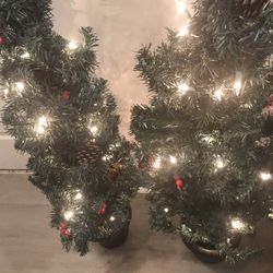 Christmas Tree $20 each 