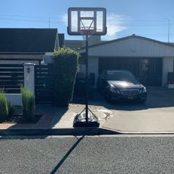 Lifetime Basketball Hoop (8ft) (adjustable)