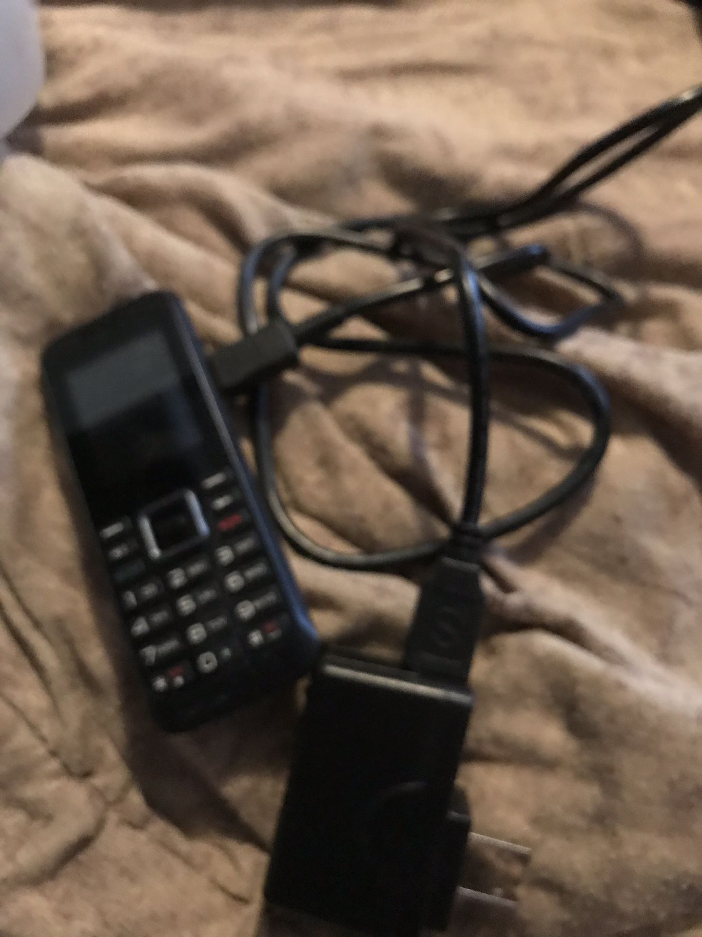 Government phone