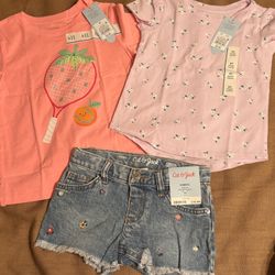 Toddler Girls Clothing Bundle 4T