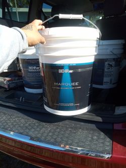 BEHR  Paint Like A Cream Color