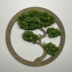 Bonsai Preserved Moss Tree Wall Decoration