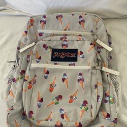 Jansport Backpack. Gently Used. Clean.