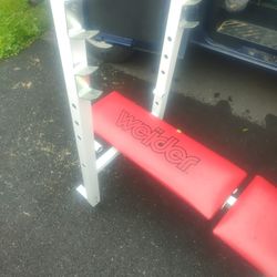 Weight Bench ONLY