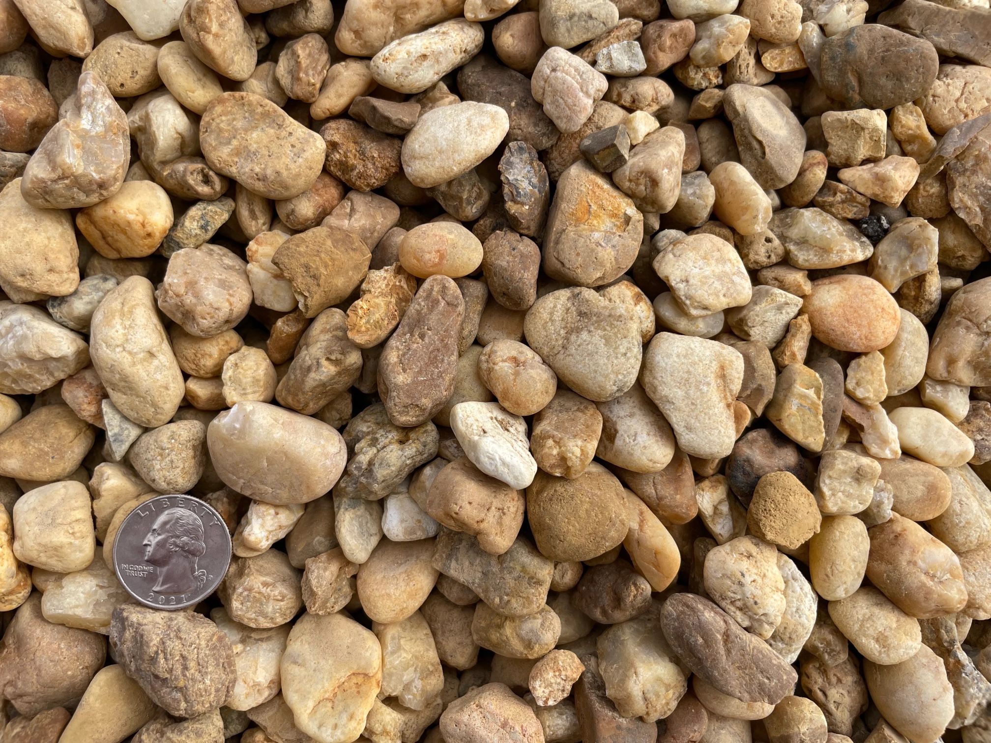 Medium Brown River Rock 