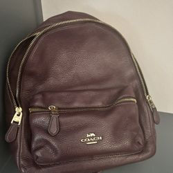 Burgundy Backpack 