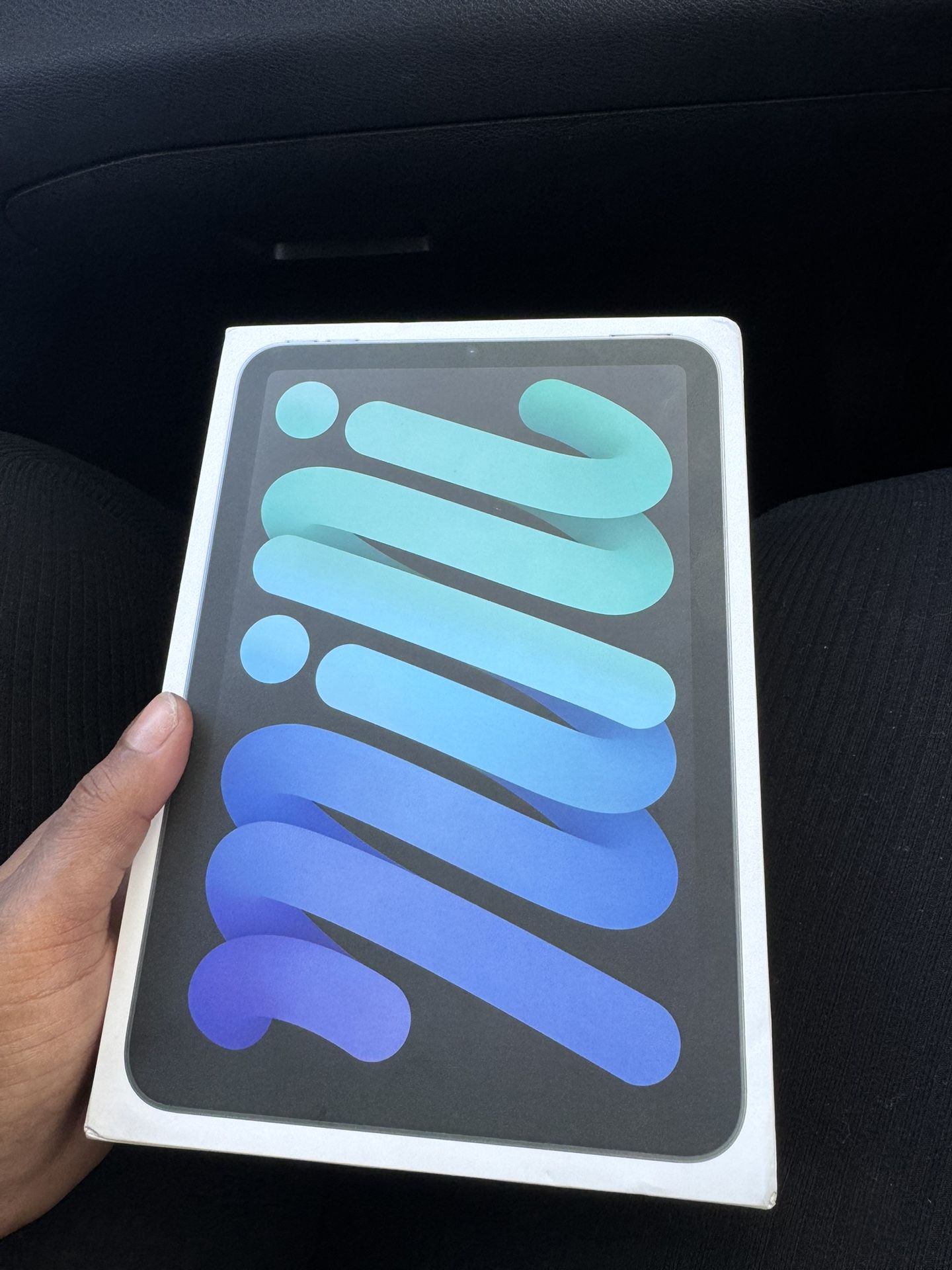 iPad Mini